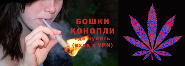 мдма Ельня