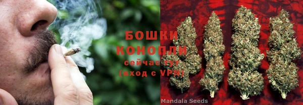 мдма Ельня