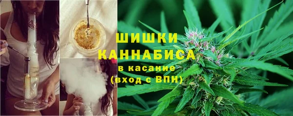 мдма Ельня